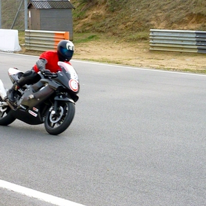 P1030386.jpg