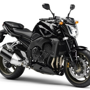 yamaha_fz1_euro_2008_01.jpg
