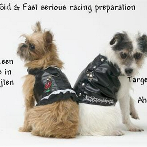 serious racing.jpg