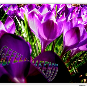 030314-01V3b.jpg