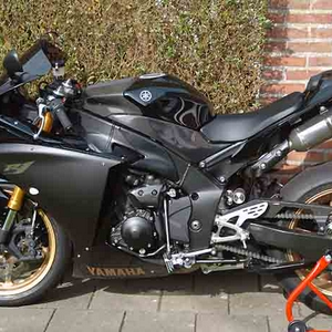 DSC_0013mf.jpg