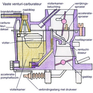 vergas283bg.jpg