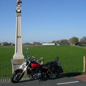 SDC16296a.JPG