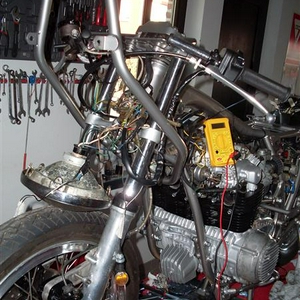 SDC10741 (Medium).JPG