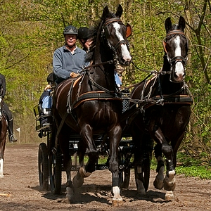 DSC_prdn1.JPG
