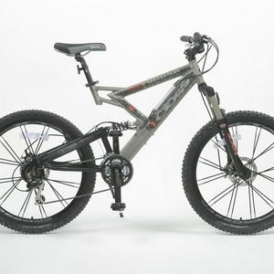 endurodisc.jpg
