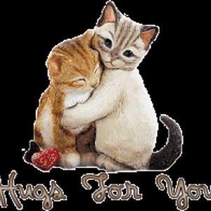 73399catshuggle.gif