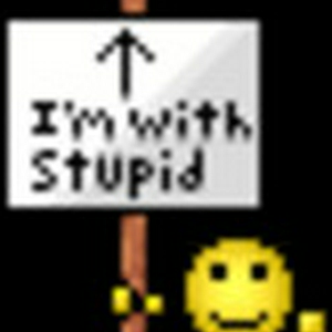stupid.gif