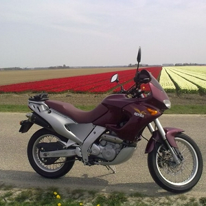 Bloembollenrit 25-04-2010 (10) [800x600].jpg