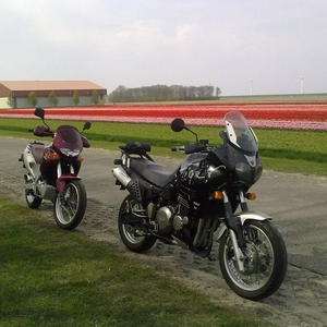 Bloembollenrit 25-04-2010 (8) [800x600].jpg