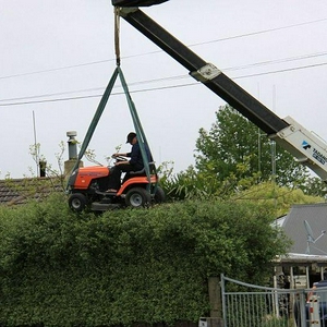 285935d5_Redneck_hedge.jpg
