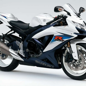 big_Suzuki_GSXR_600_2010_1.jpg