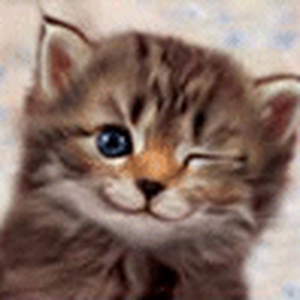 poesje.gif