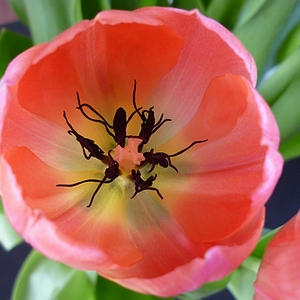 sized_P1010941.JPG