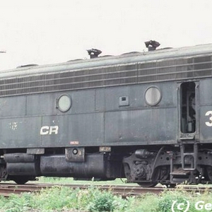 3871.jpg