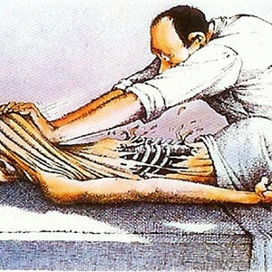 fysio.jpg