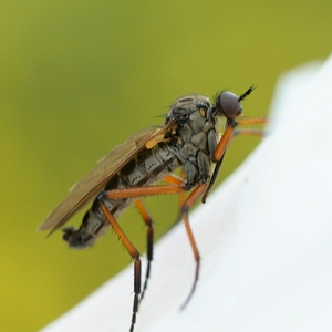 sized_-0309.jpg