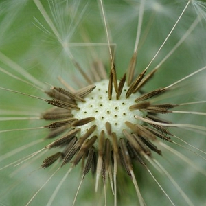 sized_-0072(001).jpg