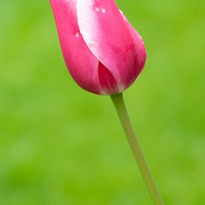 sized_-0296.jpg
