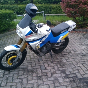Dauwgas ST