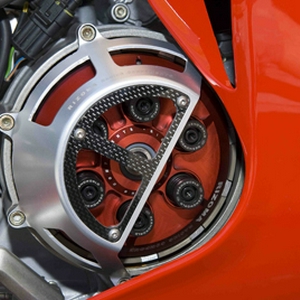 duc2.jpg