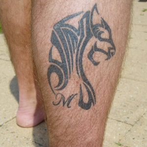 Tattoo kuit