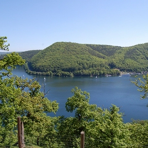 DSC_0127.jpg