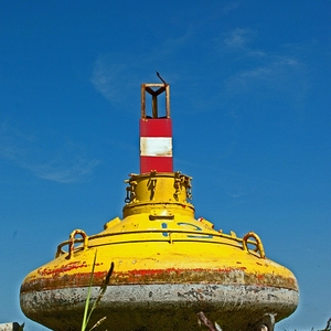 DSC_bzn1.JPG