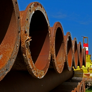 DSC_bzn2.JPG