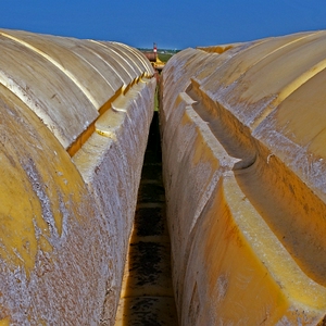DSC_bzn3.JPG