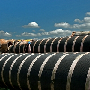 DSC_bzn4.JPG