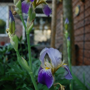 DSC_0047.JPG