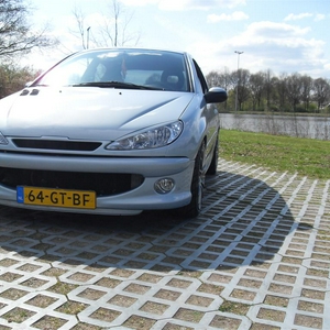 SDC10536 (Large).JPG