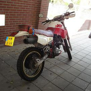 DSC00966.JPG