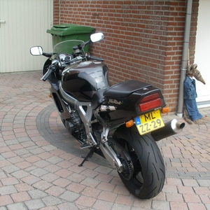 SS851558.JPG