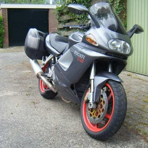 duc3.jpg