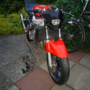 Afbeelding 472.jpg