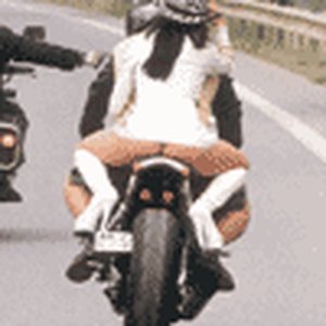 pic238050.gif