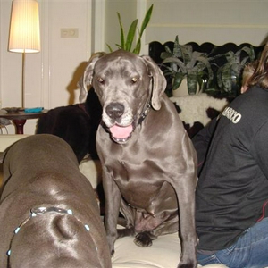 Kaylee en Mies5 (Small).JPG