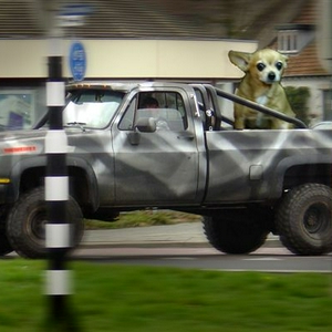 BambiK30.jpg