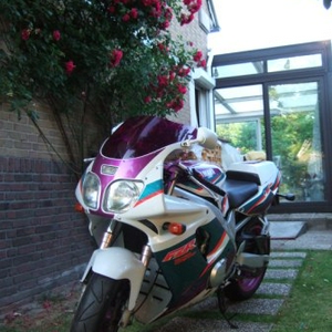 DSCF6713.JPG