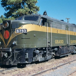 6793.jpg