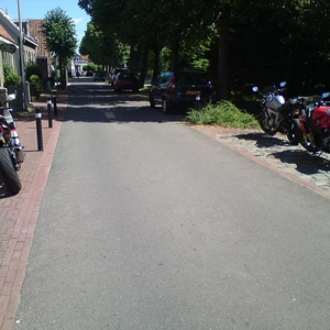 hemo3.JPG