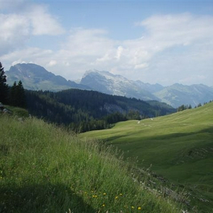 2010 juli - vakantie 028 (Small).jpg