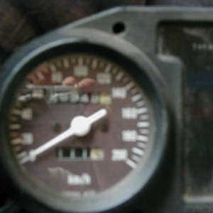 P1010035.JPG