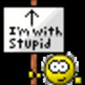 withstupid.gif