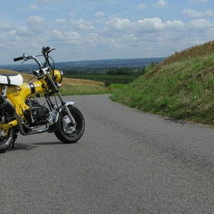 2rhlhf4.jpg