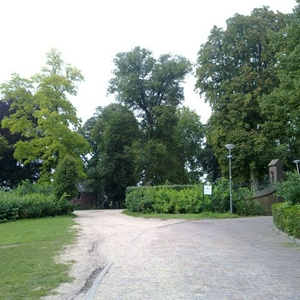 01092010008.jpg