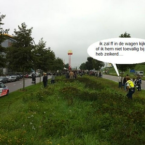 low4.jpg