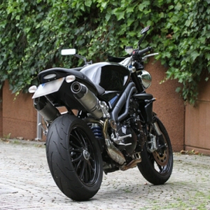 Tail-Tidy-Triumph.jpg